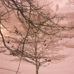 2009-03-02 (001).jpg